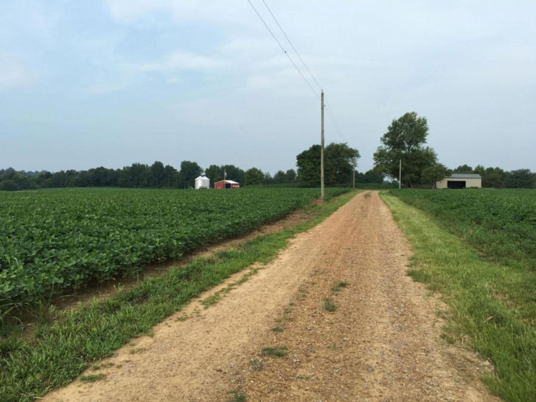 218.944 Acres For Sale in Pope County Illinois - Pope Illinois Real Estate